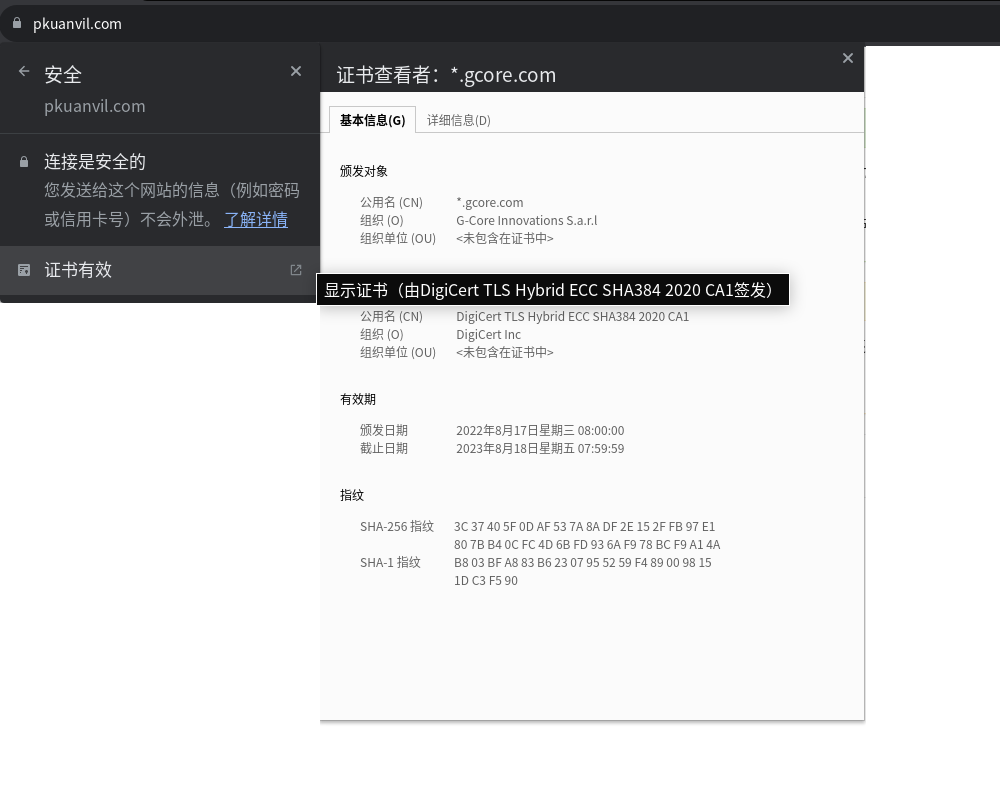 pkuanvil-https-certificate-replaced-by-gcore.png